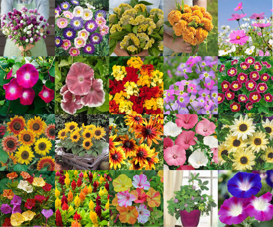 All-Season Mixed Flowers